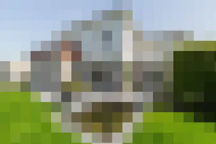 Cardium 25 Kamperland thumbnail 82