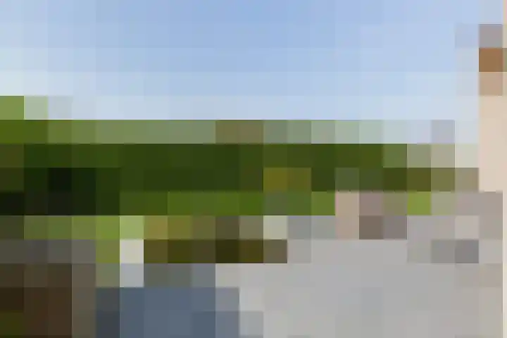 Cardium 25 Kamperland thumbnail 9