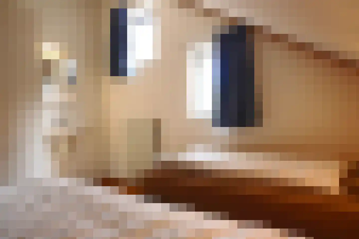 Cardium 37 Brouwershaven thumbnail 13