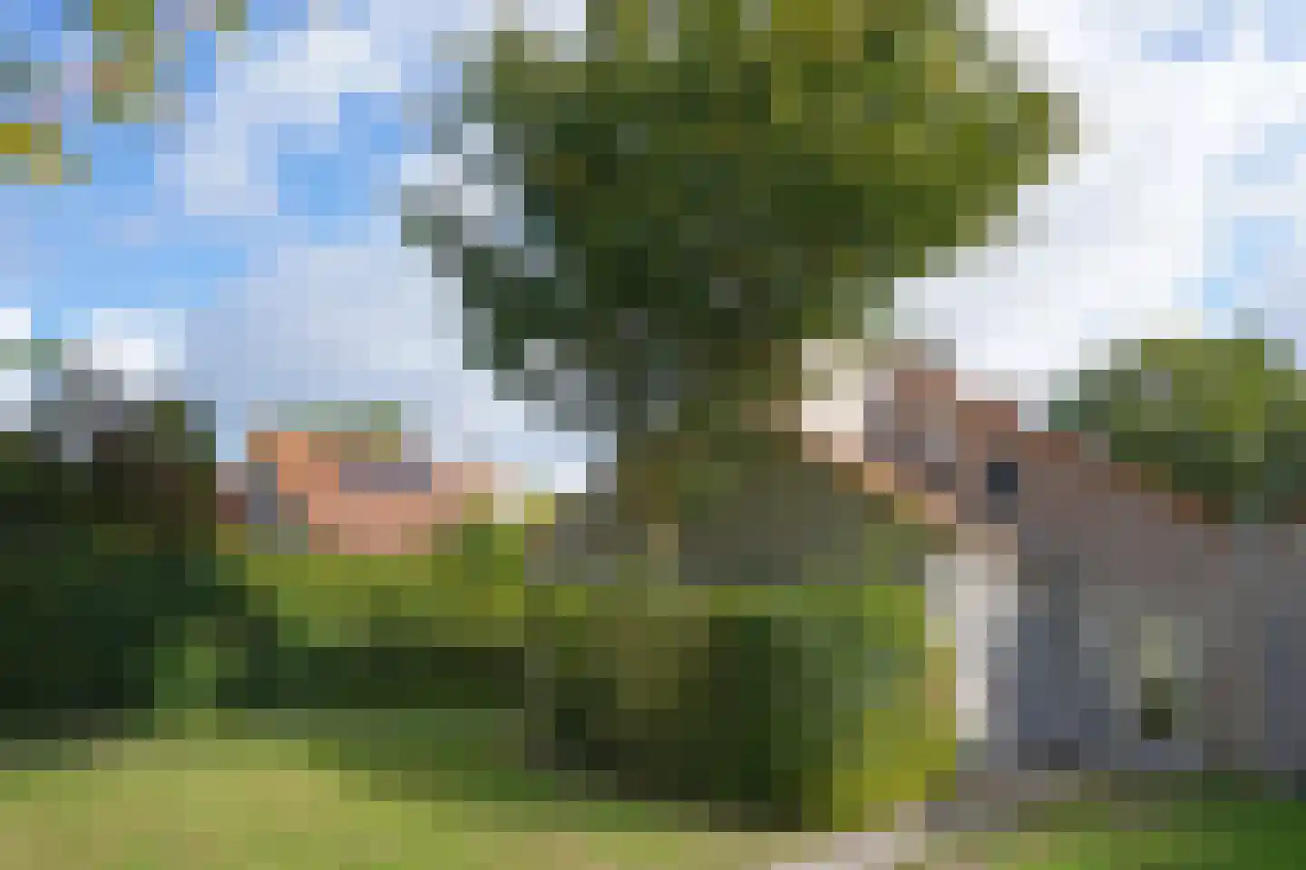Cardium 37 Brouwershaven thumbnail 15
