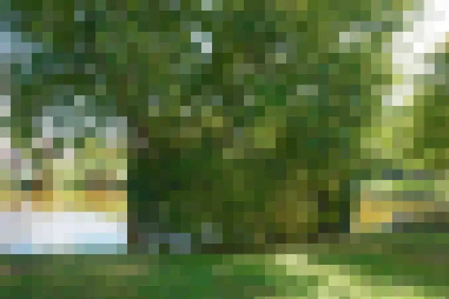 Cardium 37 Brouwershaven thumbnail 17