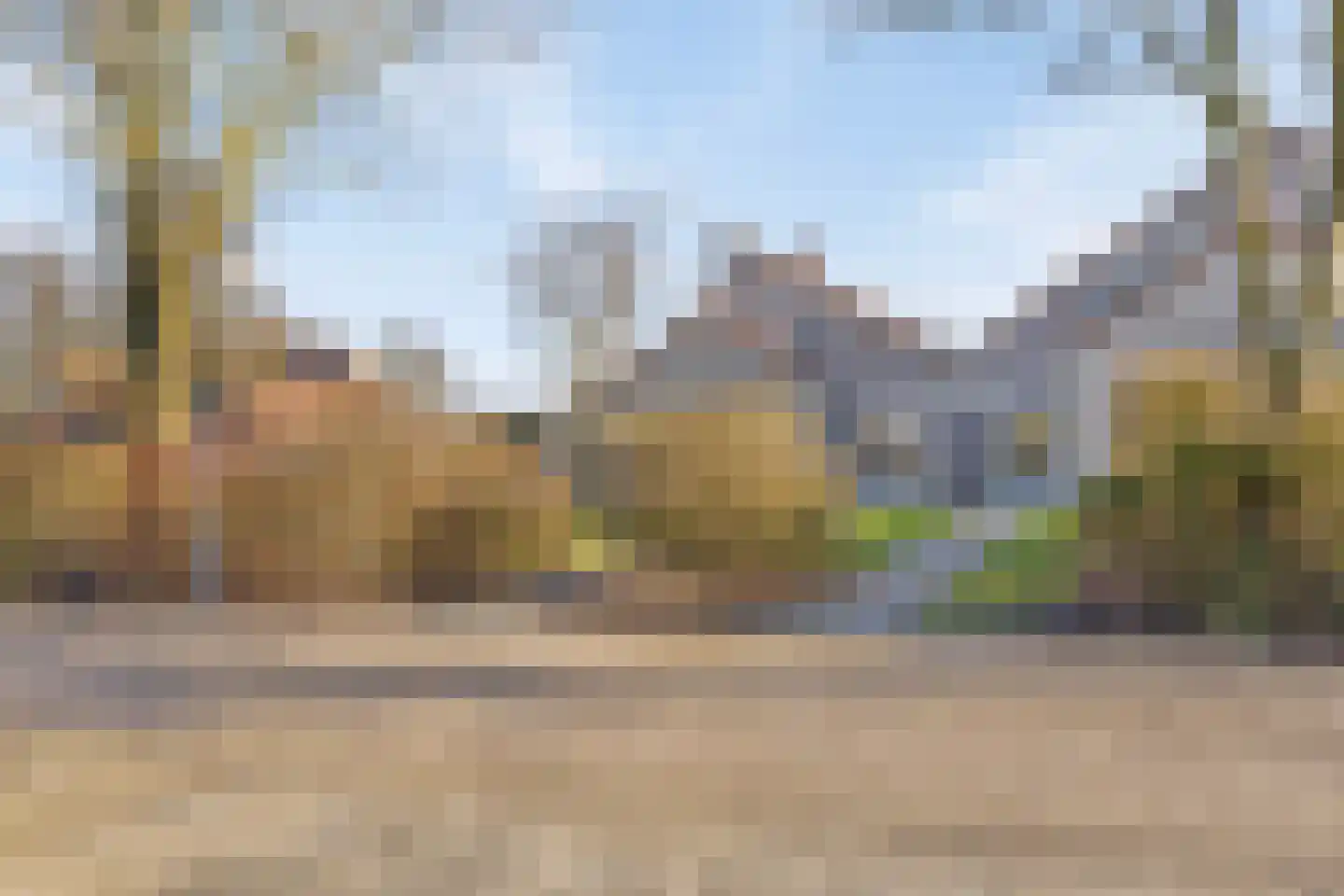 Cardium 40 Brouwershaven thumbnail 16