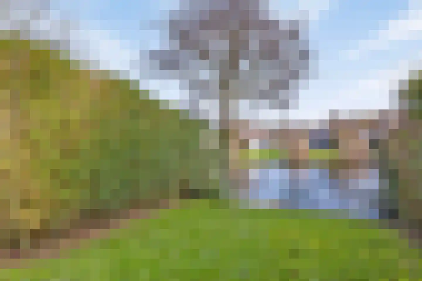 Cardium 40 Brouwershaven thumbnail 17