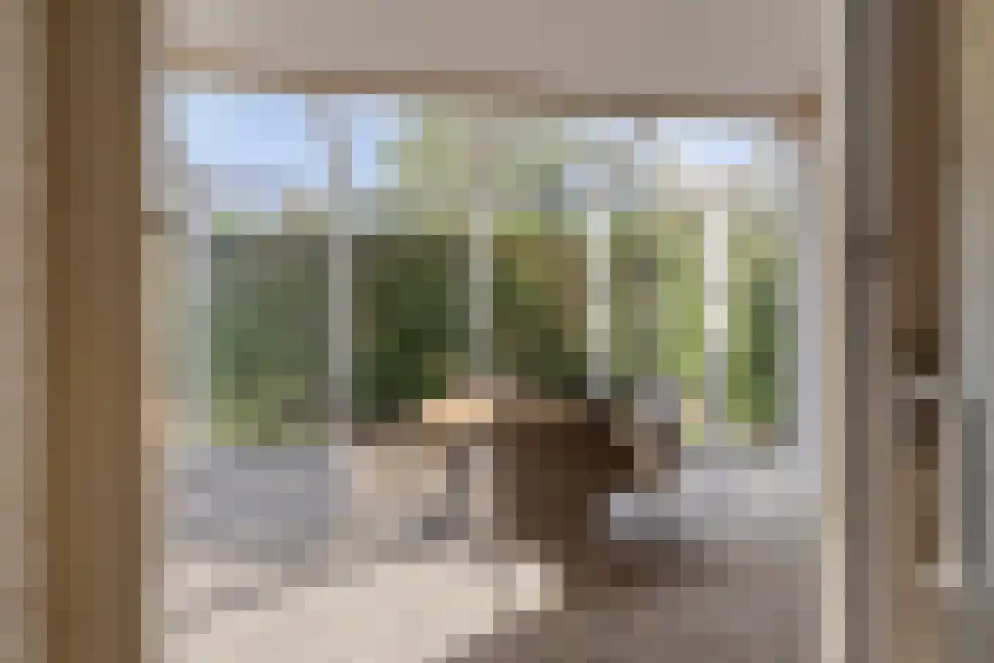 Cardium 41 Kamperland thumbnail 20