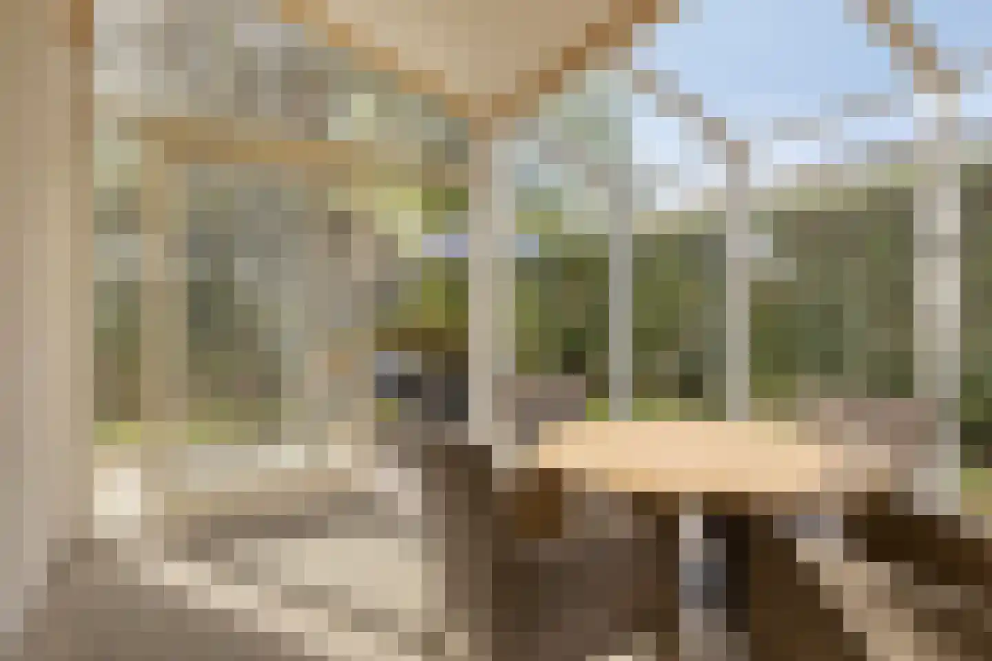 Cardium 41 Kamperland thumbnail 22