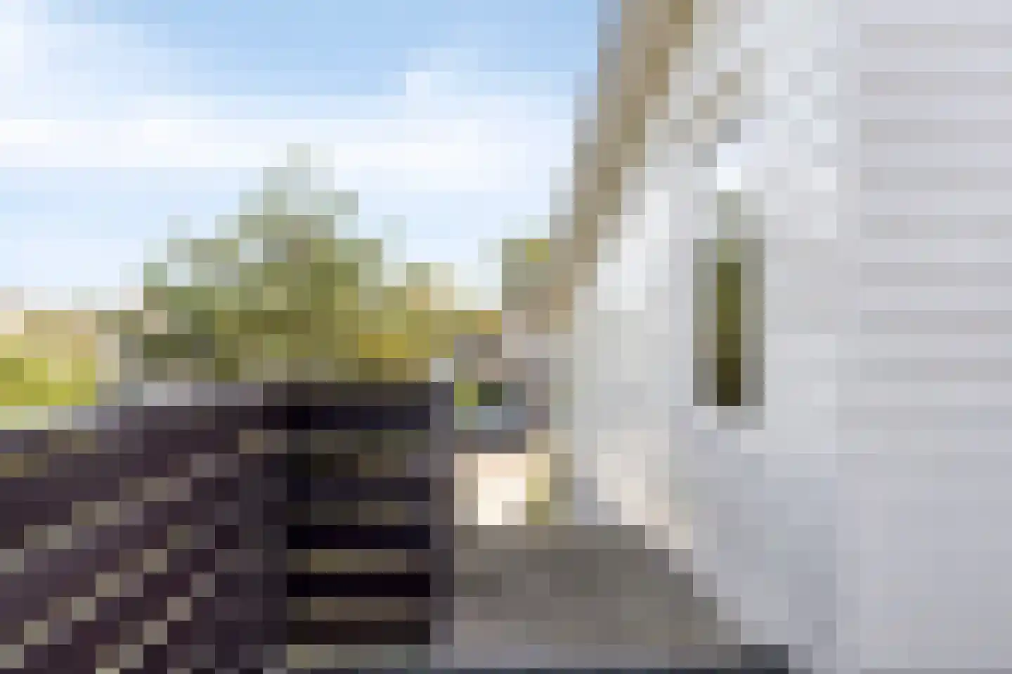 Cardium 41 Kamperland thumbnail 39