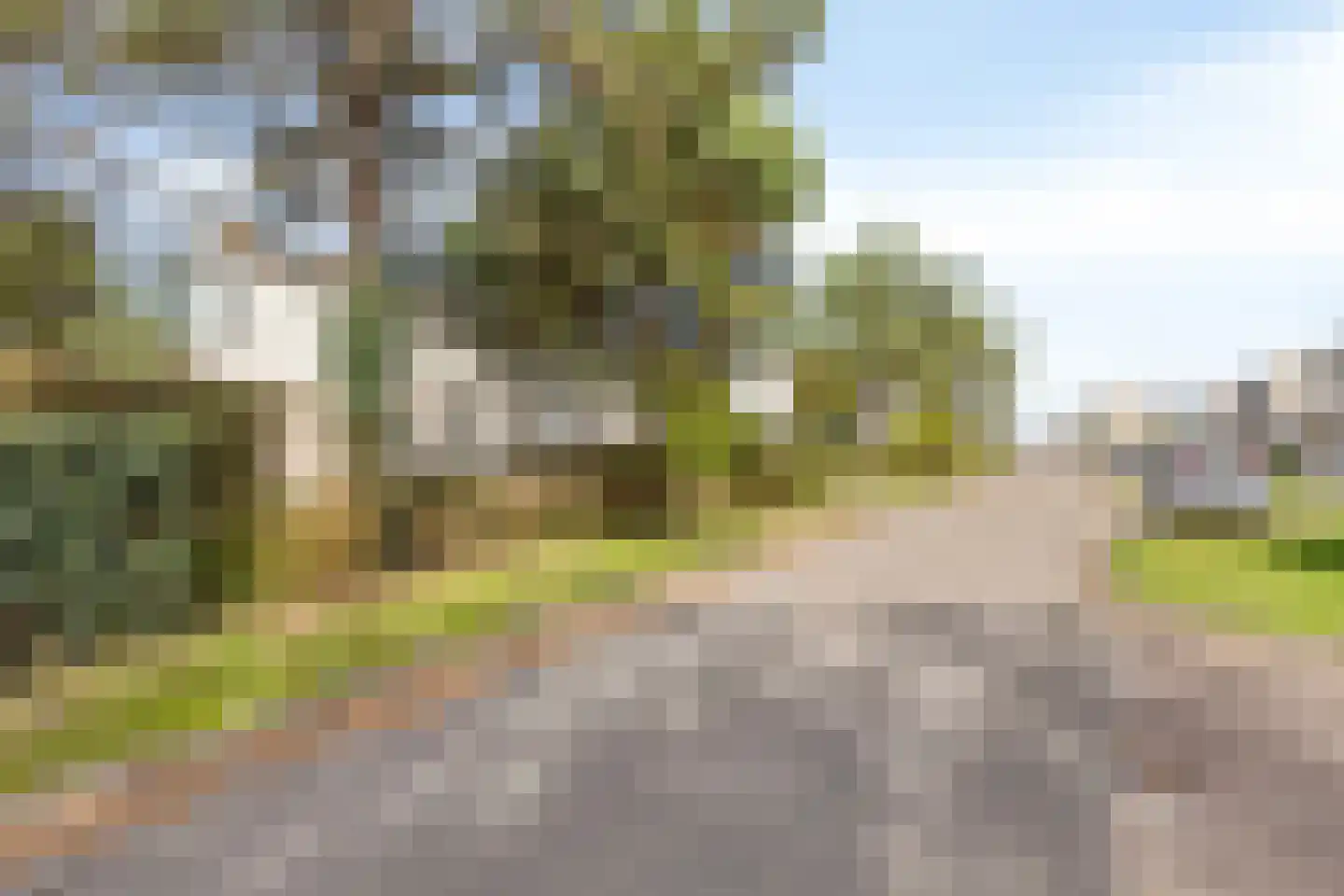 Cardium 41 Kamperland thumbnail 4