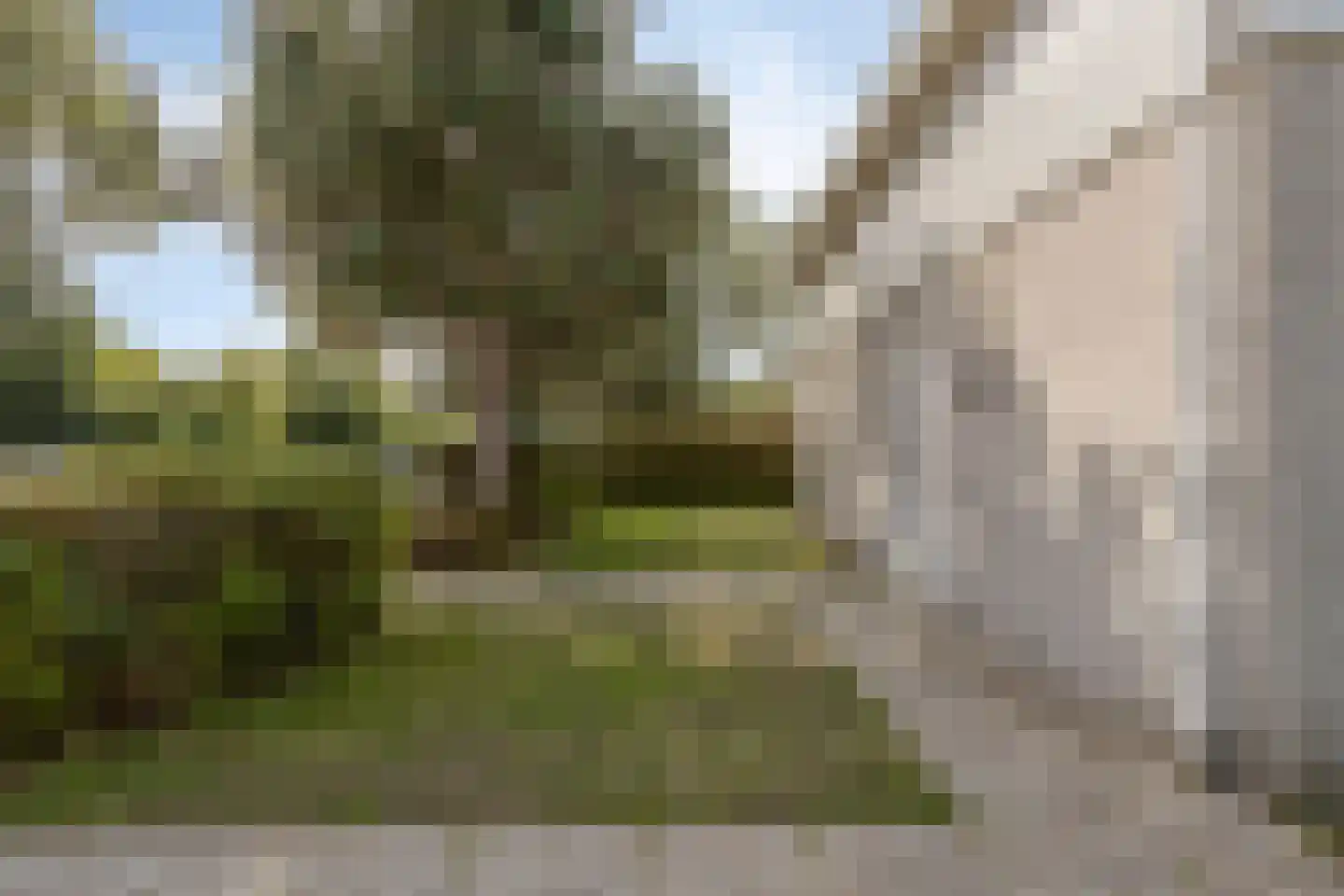 Cardium 41 Kamperland thumbnail 41
