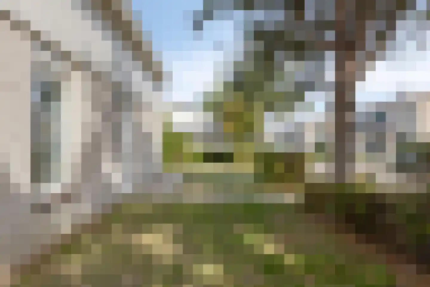 Cardium 41 Kamperland thumbnail 42