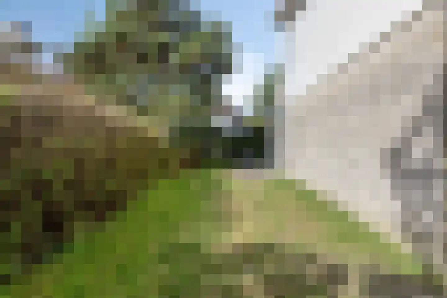 Cardium 41 Kamperland thumbnail 44