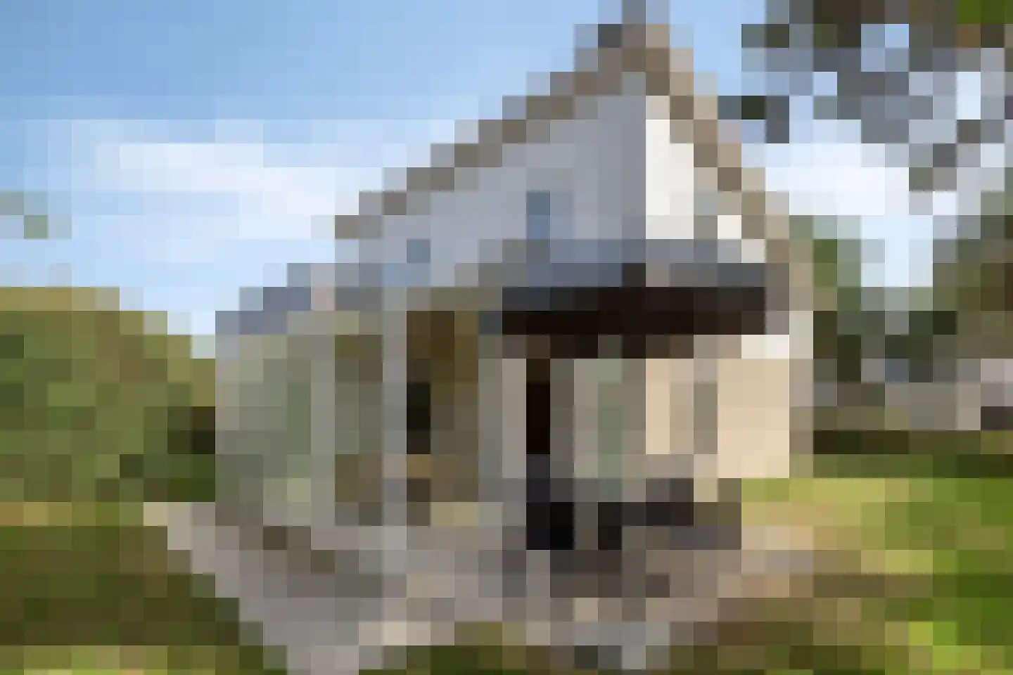 Cardium 41 Kamperland thumbnail 45