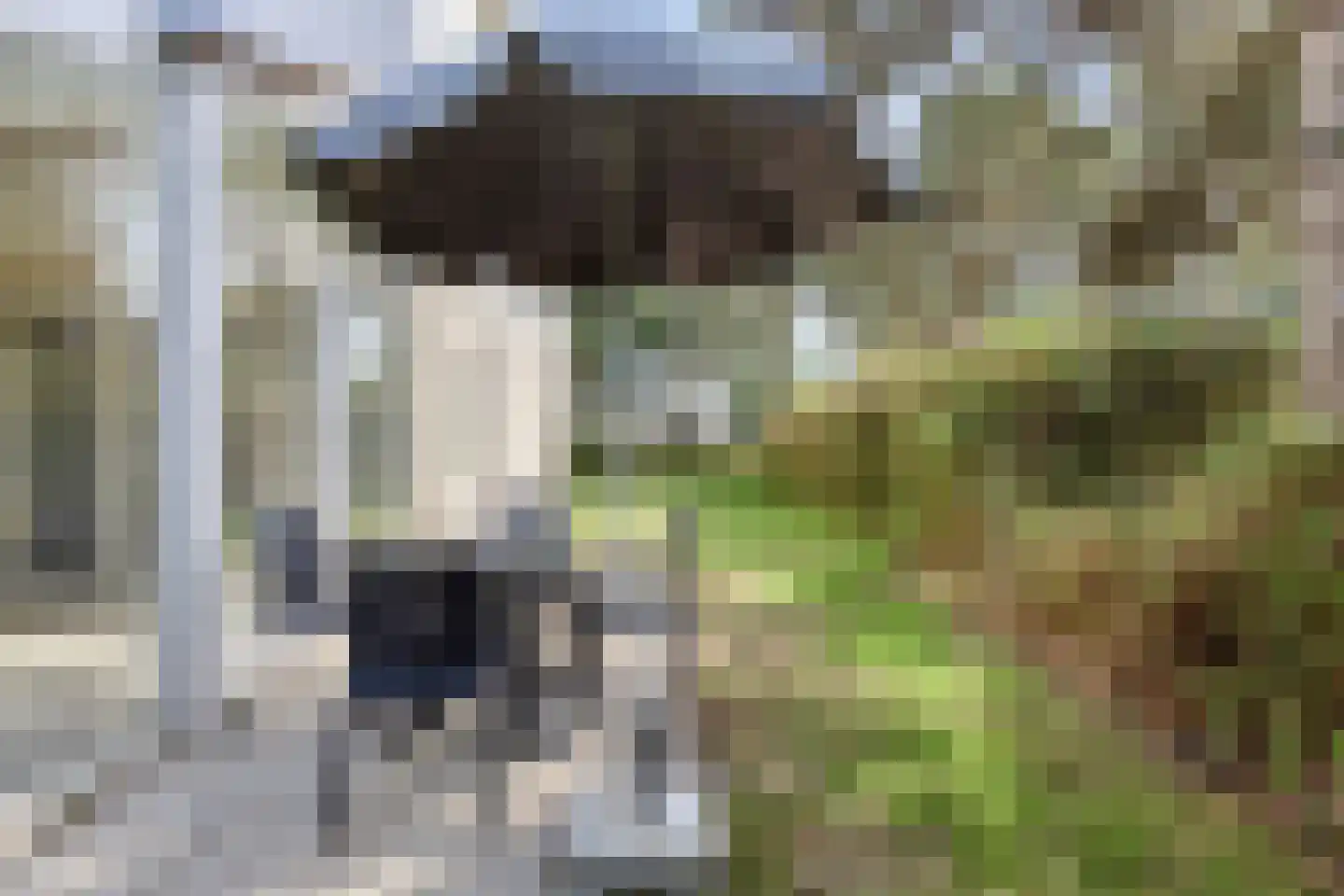 Cardium 41 Kamperland thumbnail 46