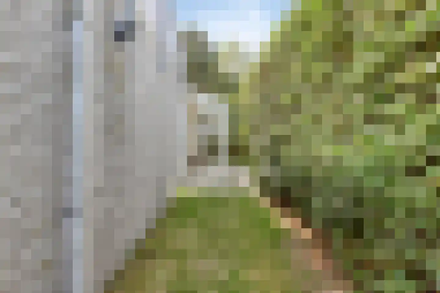 Cardium 41 Kamperland thumbnail 49