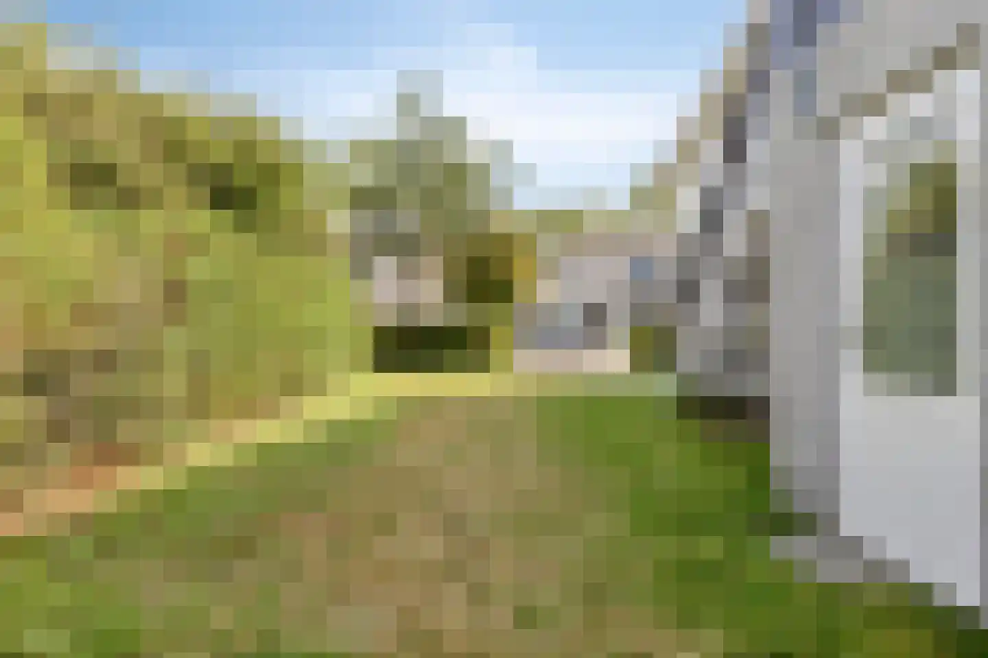 Cardium 41 Kamperland thumbnail 50