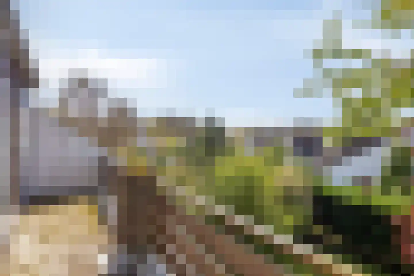 Cardium 9 Brouwershaven thumbnail 20