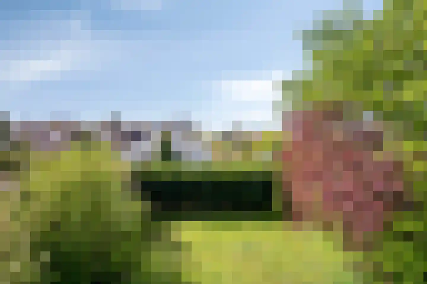 Cardium 9 Brouwershaven thumbnail 22