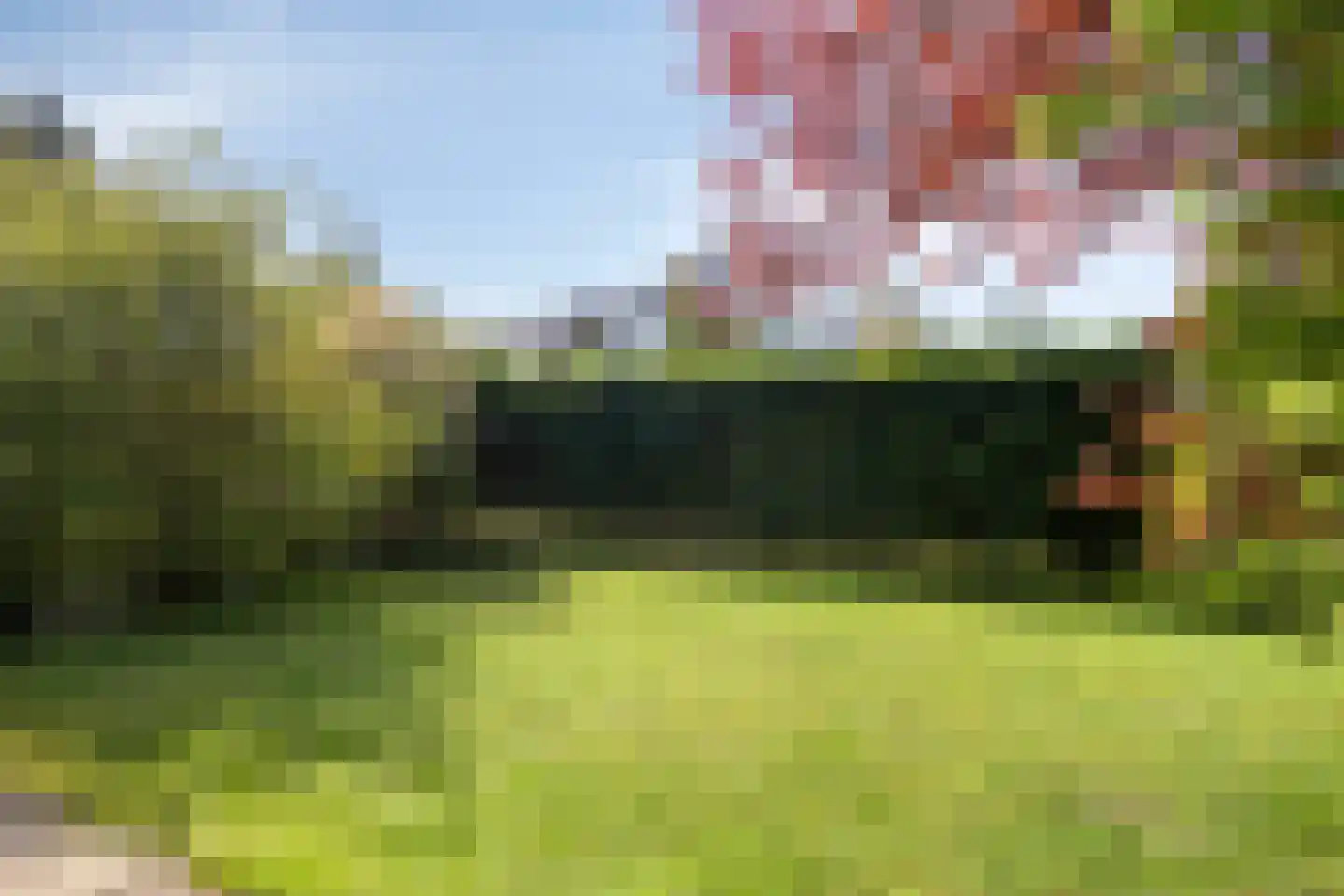 Cardium 9 Brouwershaven thumbnail 23