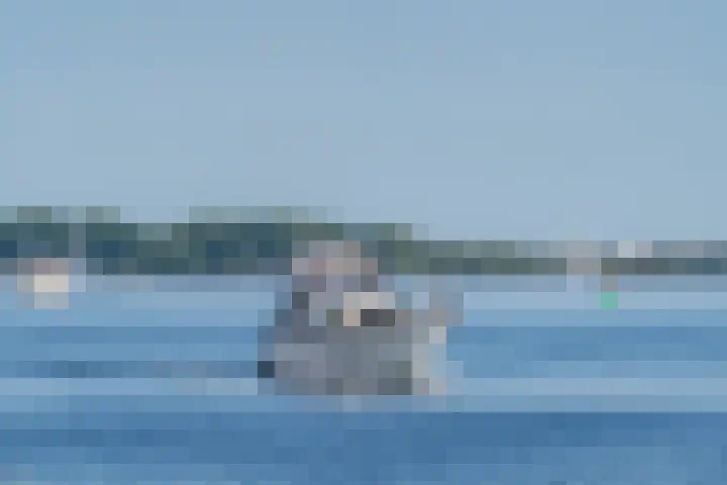Cardium 9 Brouwershaven thumbnail 4