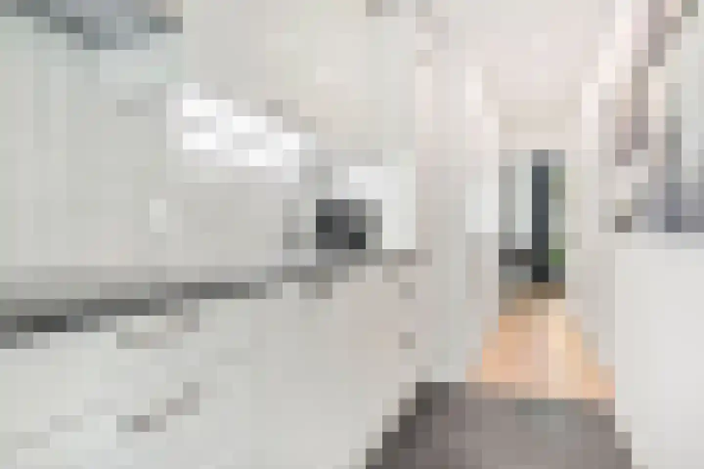 Carel Beukerhof 1 Heelsum thumbnail 16