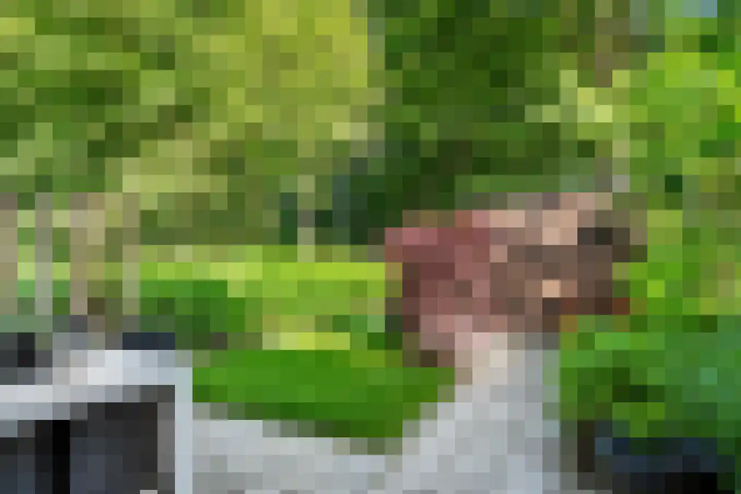 Carel Beukerhof 1 Heelsum thumbnail 22
