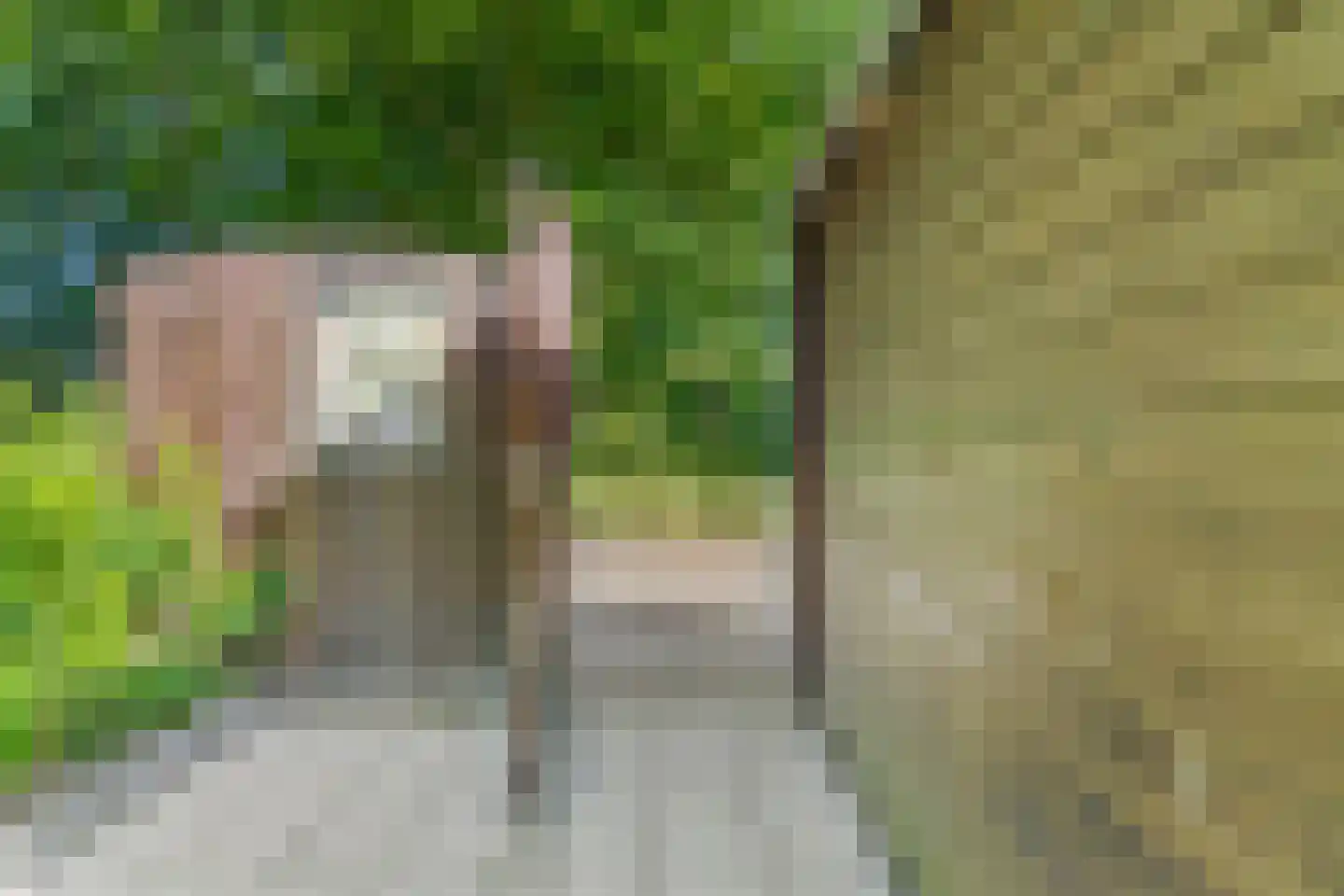 Carel Beukerhof 1 Heelsum thumbnail 23