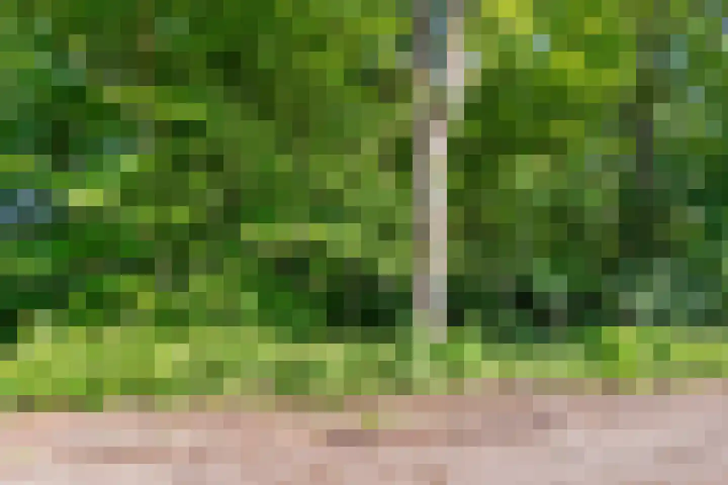 Carel Beukerhof 1 Heelsum thumbnail 24