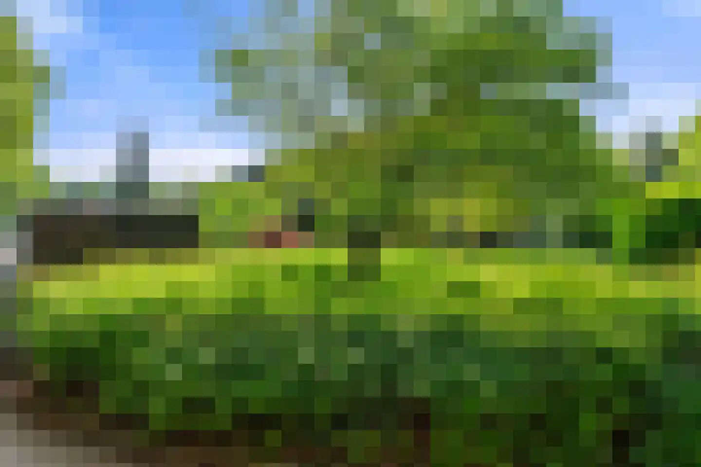 Carel Beukerhof 1 Heelsum thumbnail 25