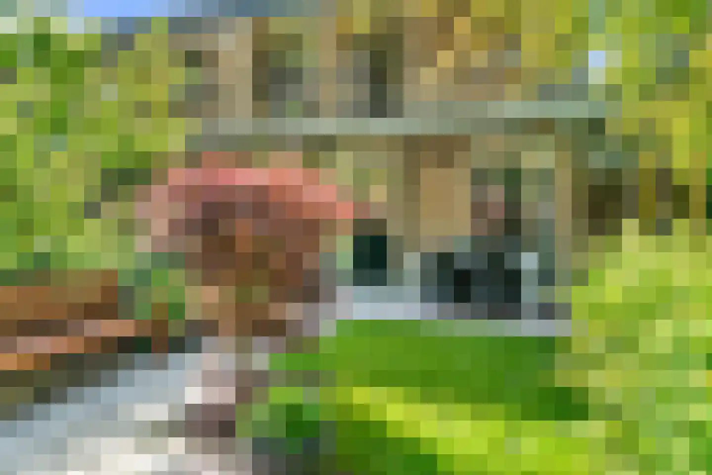 Carel Beukerhof 1 Heelsum thumbnail 27