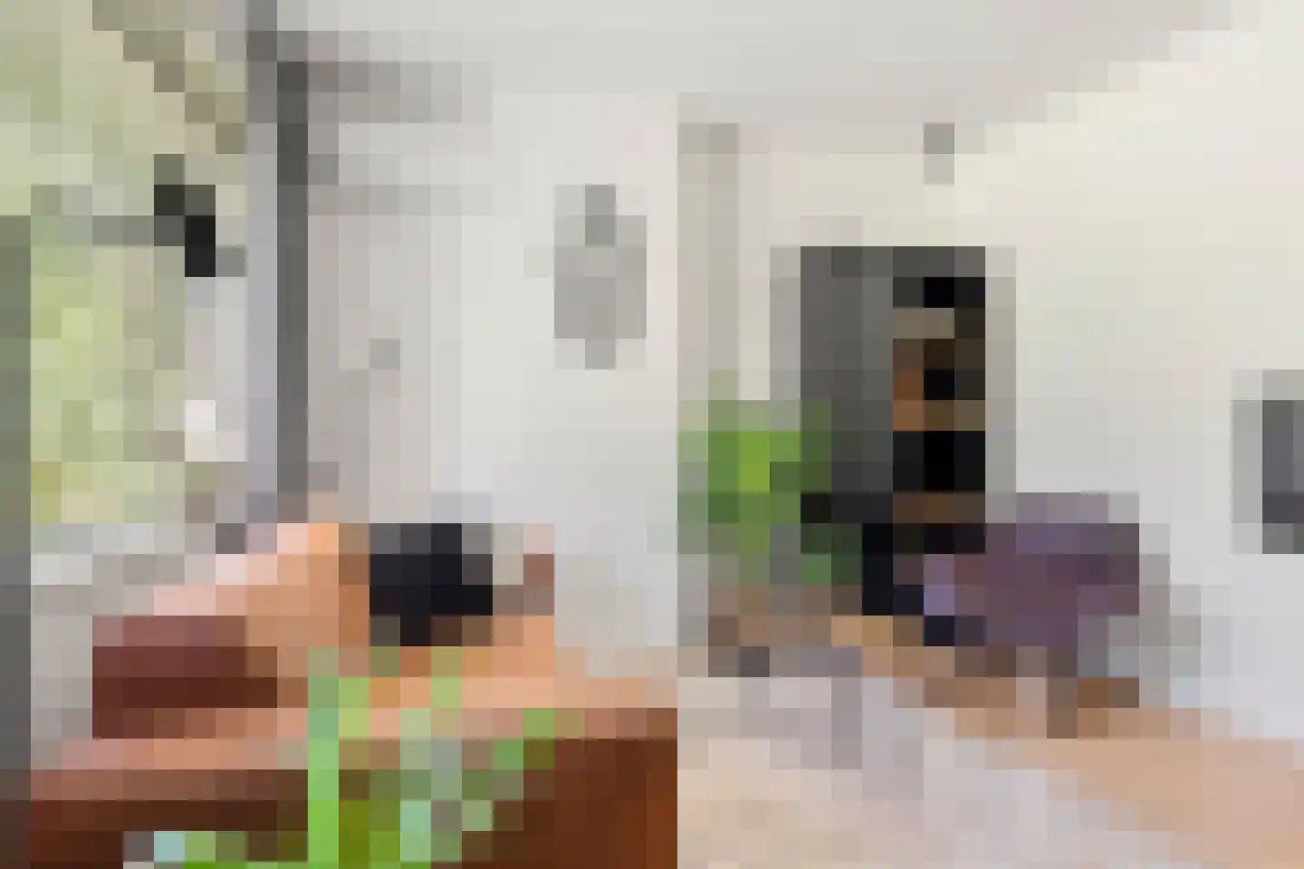 Carel Beukerhof 1 Heelsum thumbnail 5