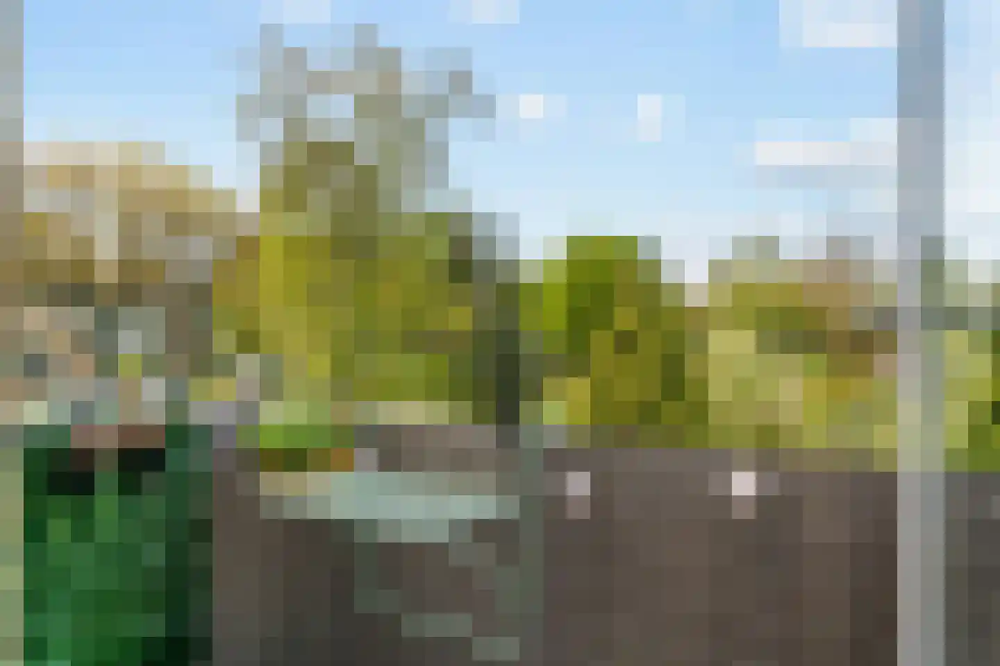 Carel Beukerhof 23 I Heelsum thumbnail 17