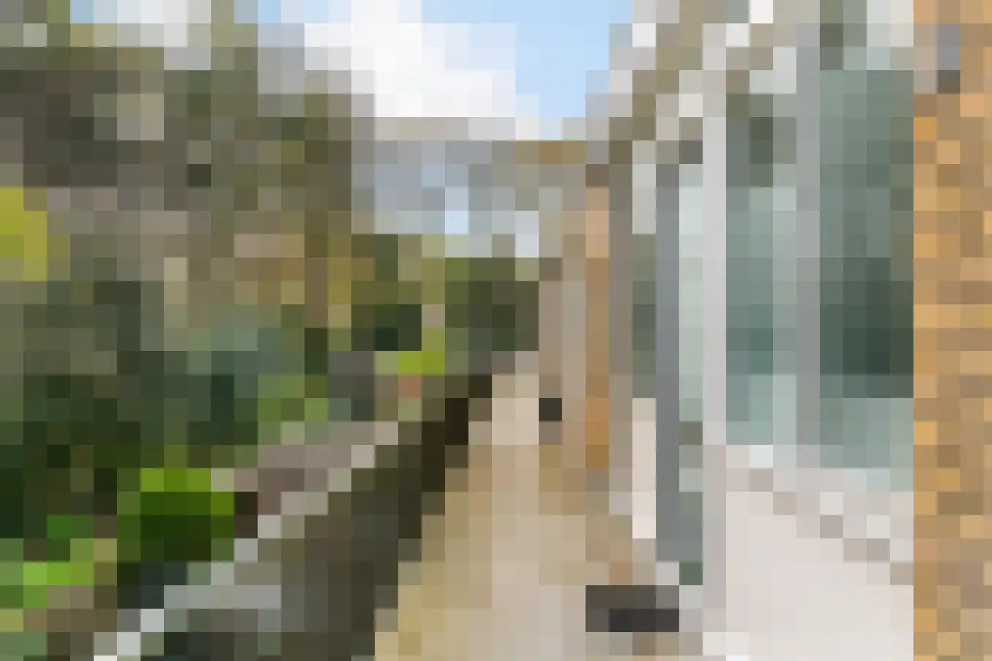 Carel Beukerhof 23 I Heelsum thumbnail 20