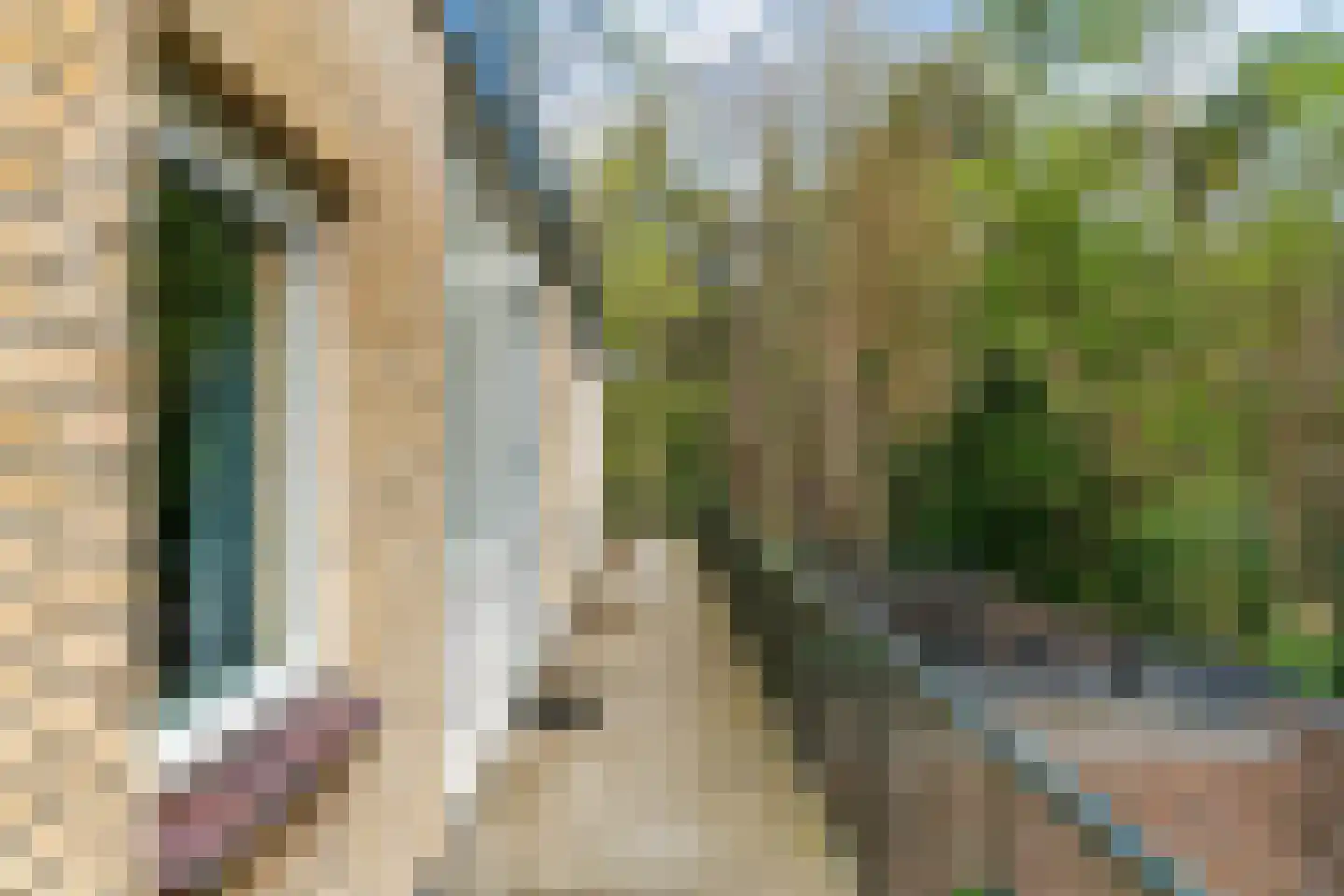 Carel Beukerhof 23 I Heelsum thumbnail 21