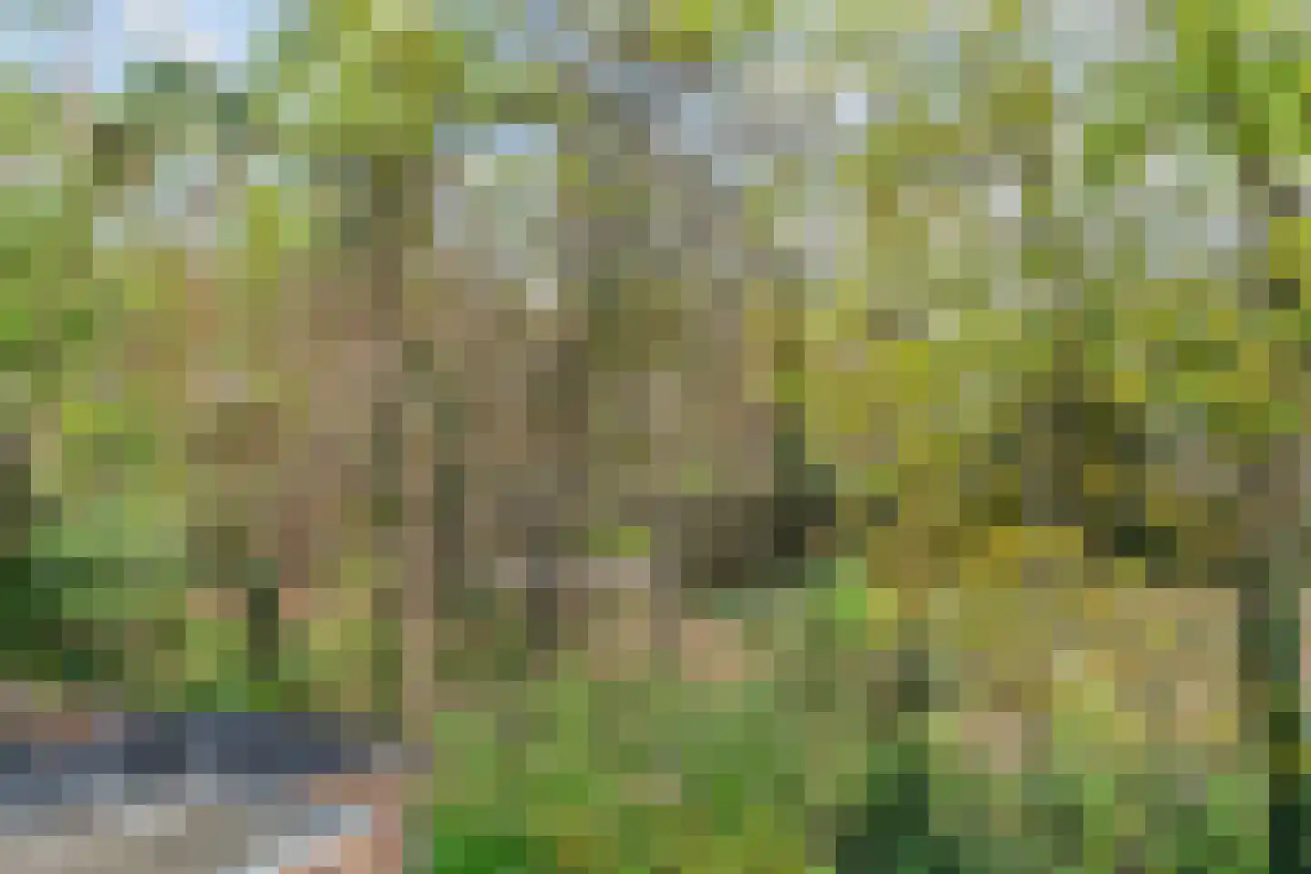 Carel Beukerhof 23 I Heelsum thumbnail 22