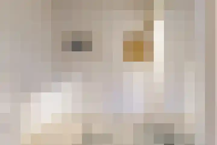 Carel Beukerhof 25 Heelsum thumbnail 14