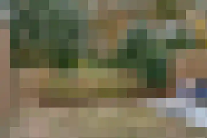 Carel Beukerhof 25 Heelsum thumbnail 17