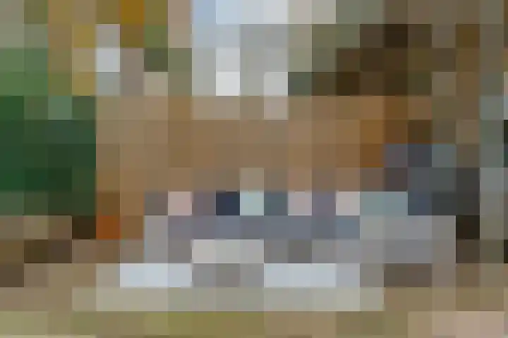 Carel Beukerhof 25 Heelsum thumbnail 18