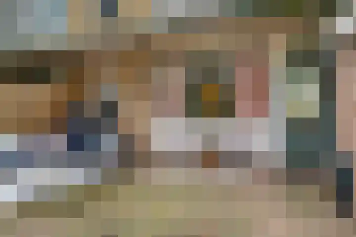 Carel Beukerhof 25 Heelsum thumbnail 20