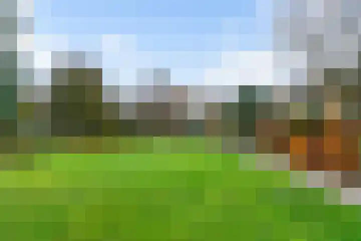 Carel Beukerhof 25 Heelsum thumbnail 23