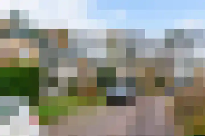 Carel Beukerhof 25 Heelsum thumbnail 25