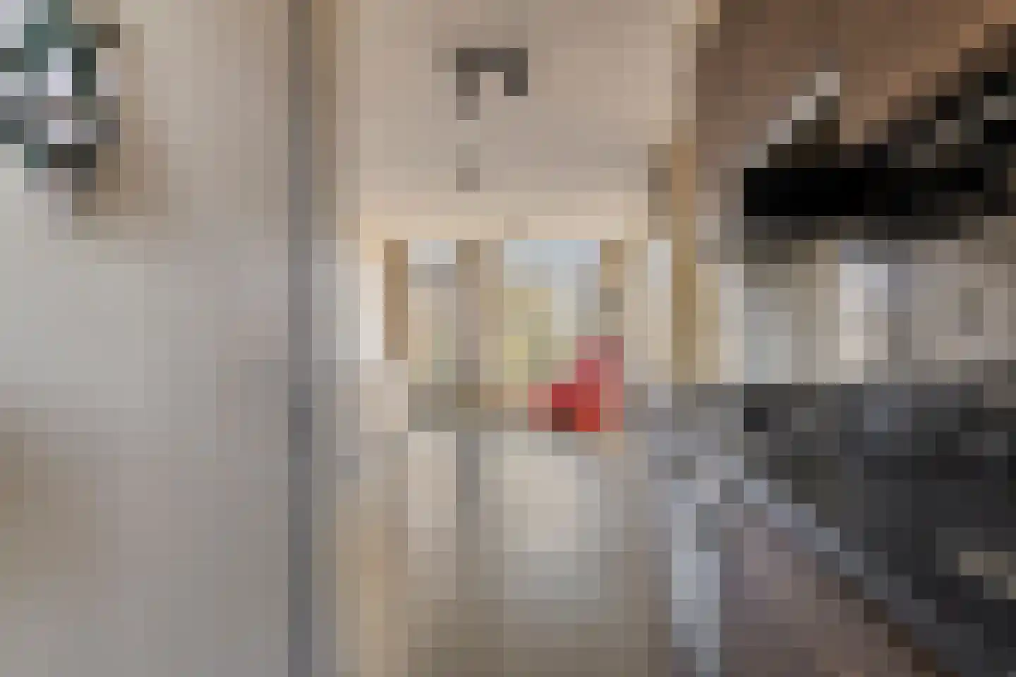 Carel Beukerhof 29 I Heelsum thumbnail 13