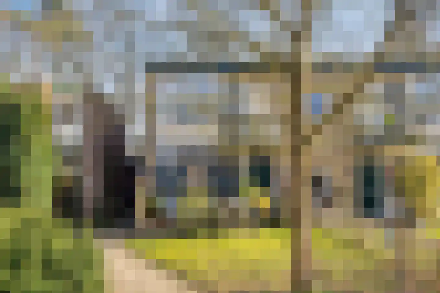 Carel Beukerhof 29 I Heelsum thumbnail 22