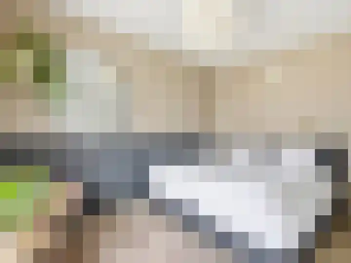 Carel Beukerhof 32 Heelsum thumbnail 11
