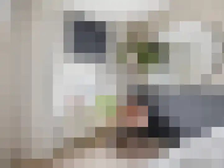 Carel Beukerhof 32 Heelsum thumbnail 12