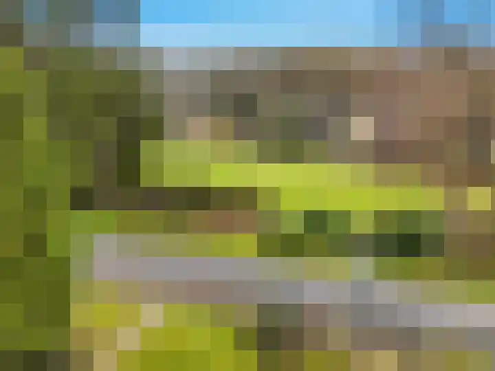 Carel Beukerhof 32 Heelsum thumbnail 18