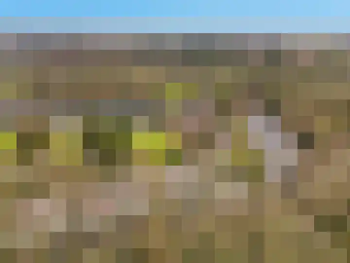 Carel Beukerhof 32 Heelsum thumbnail 20