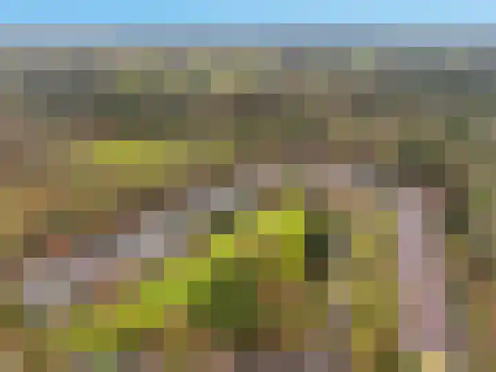 Carel Beukerhof 32 Heelsum thumbnail 21