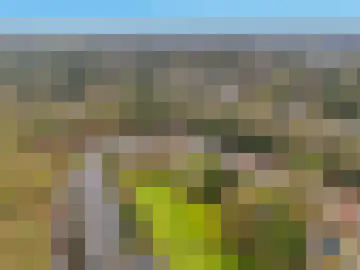 Carel Beukerhof 32 Heelsum thumbnail 22