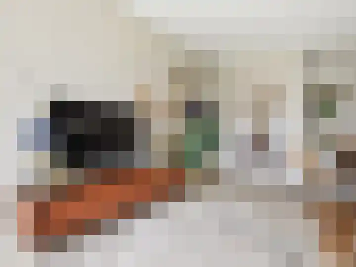 Carel Beukerhof 32 Heelsum thumbnail 5
