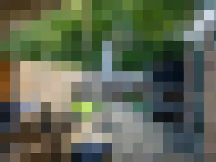 Carel Beukerhof 34 Heelsum thumbnail 16