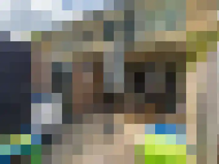 Carel Beukerhof 34 Heelsum thumbnail 18